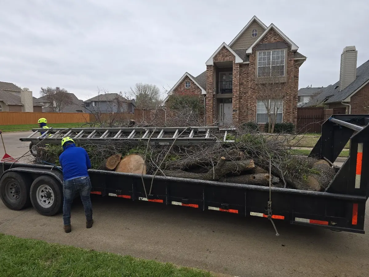 Expert Tree Pest Control with proper safety equipment in Mooresville